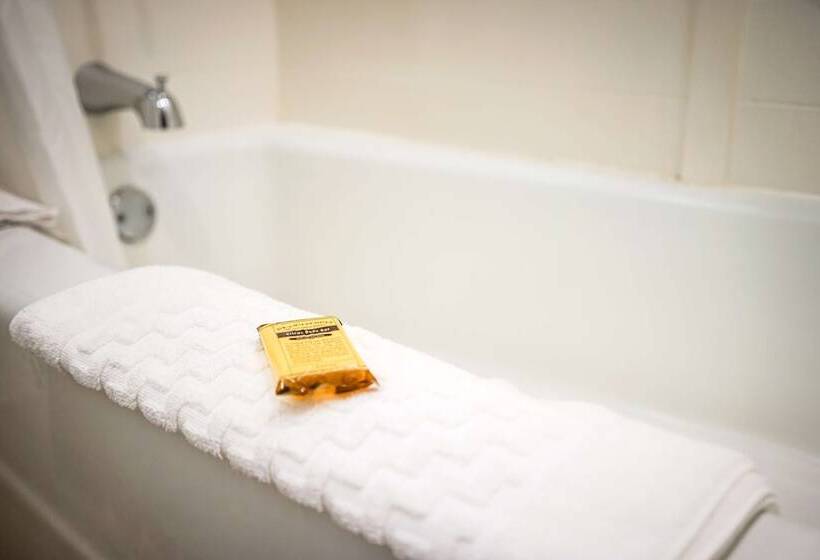 اتاق استاندارد با 2 تخت دوبل, Best Western Plus Dubuque Hotel And Conference Center