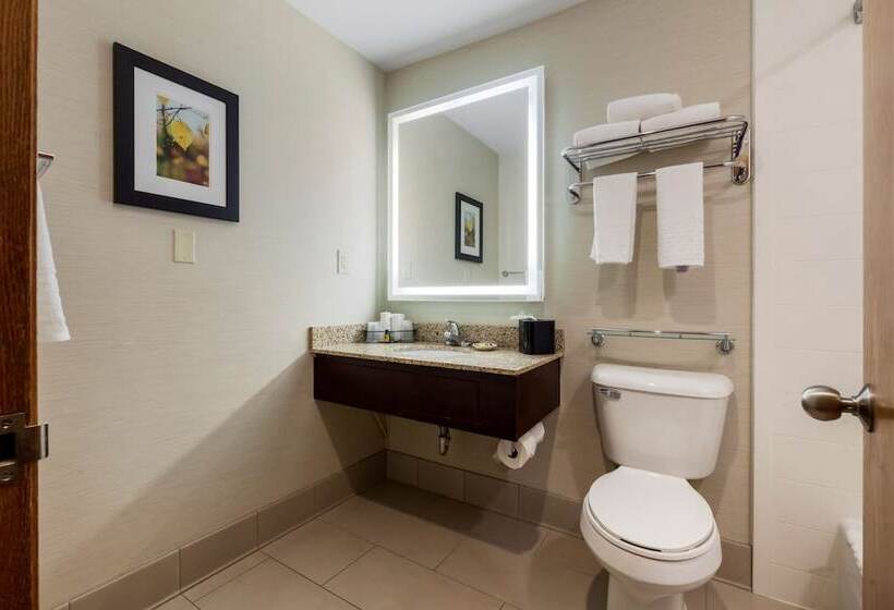 اتاق استاندارد با 2 تخت دوبل, Best Western Plus Dubuque Hotel And Conference Center