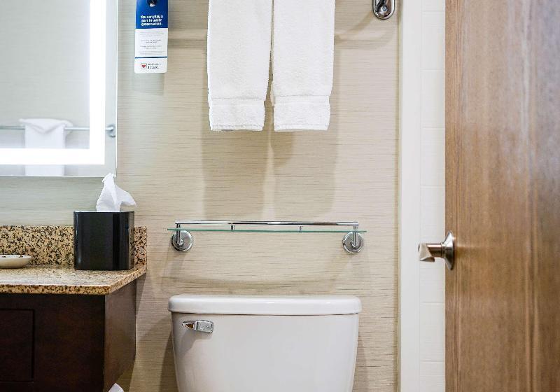 اتاق استاندارد, Best Western Plus Dubuque Hotel And Conference Center