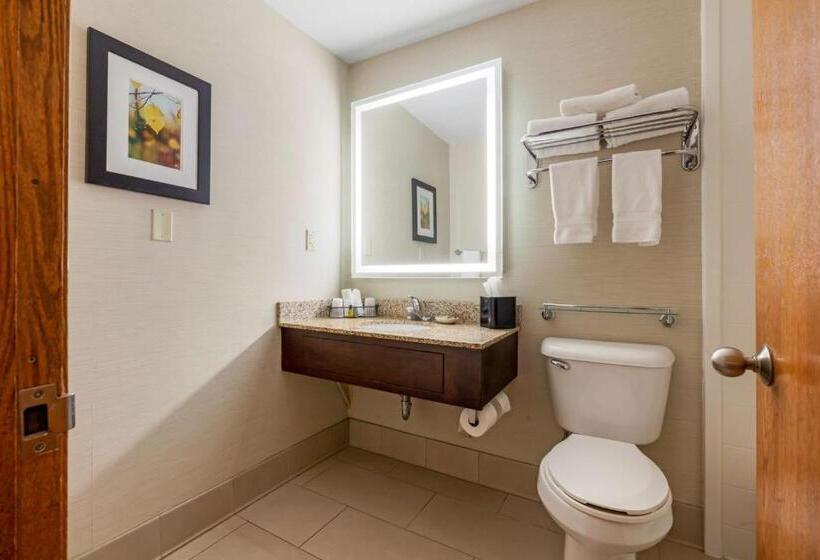 اتاق استاندارد, Best Western Plus Dubuque Hotel And Conference Center