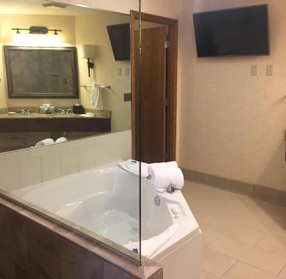 سوئیت با تخت بزرگ, Best Western Plus Dubuque Hotel And Conference Center