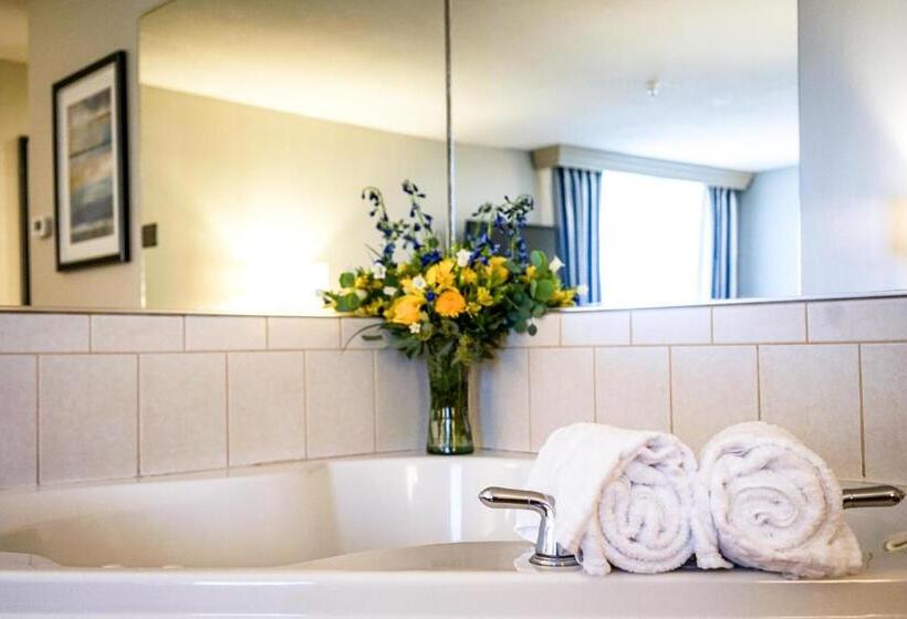 سوئیت با تخت بزرگ, Best Western Plus Dubuque Hotel And Conference Center
