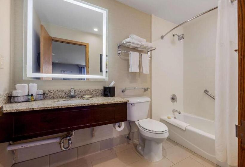 سوئیت با تخت بزرگ, Best Western Plus Dubuque Hotel And Conference Center