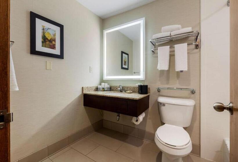 اتاق استاندارد با آشپزخانه, Best Western Plus Dubuque Hotel And Conference Center