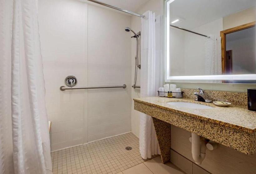 اتاق استاندارد برای معلولان, Best Western Plus Dubuque Hotel And Conference Center