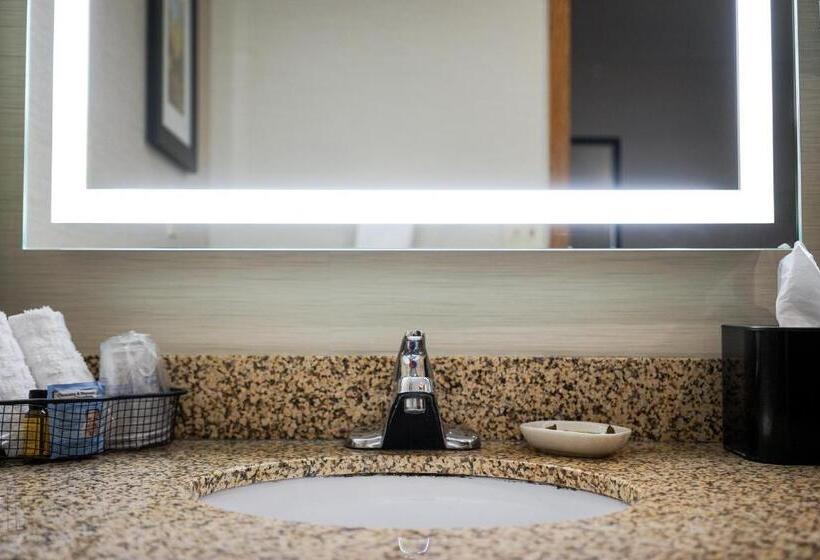 اتاق استاندارد با تخت بزرگ برای معلولان, Best Western Plus Dubuque Hotel And Conference Center