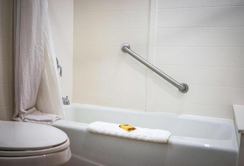 اتاق استاندارد با تخت بزرگ برای معلولان, Best Western Plus Dubuque Hotel And Conference Center