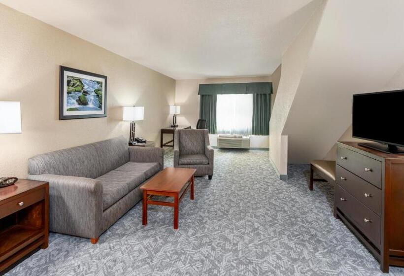 سوئیت با تخت بزرگ, Best Western Plus Eagle Vail Valley