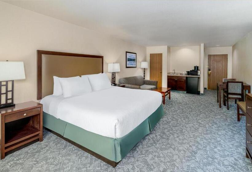 اتاق استاندارد با تخت بزرگ, Best Western Plus Eagle Vail Valley