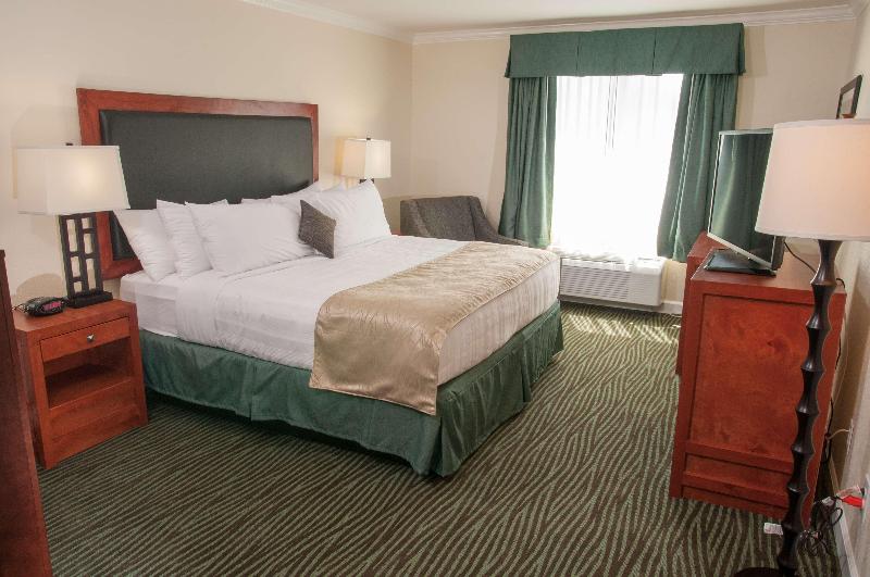 اتاق استاندارد با تخت بزرگ, Best Western Plus Eagle Vail Valley