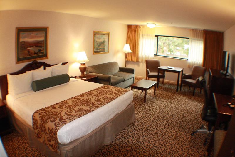 اتاق استاندارد با تخت بزرگ, Best Western Plus Inn At The Vines