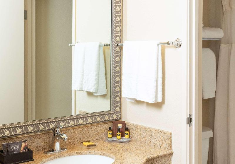 اتاق استاندارد با تخت بزرگ, Best Western Plus Inn At The Vines