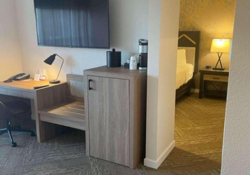 اتاق استاندارد با تخت بزرگ, Best Western Plus Inn At The Vines