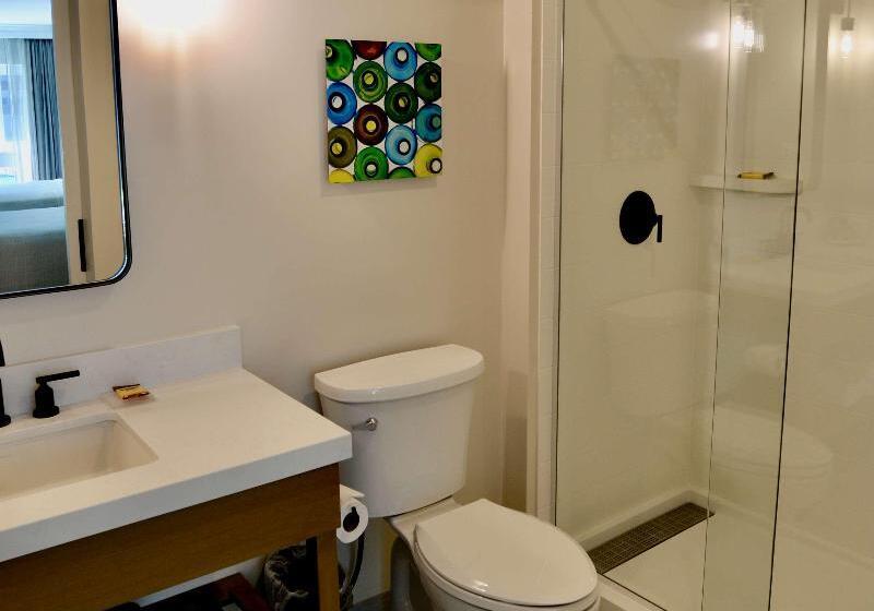 اتاق استاندارد با تخت بزرگ, Best Western Plus Inn At The Vines