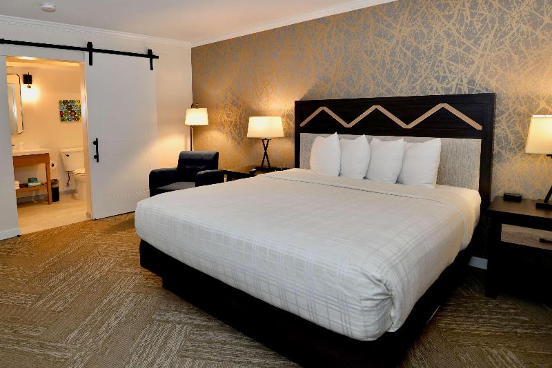 اتاق استاندارد با تخت بزرگ, Best Western Plus Inn At The Vines