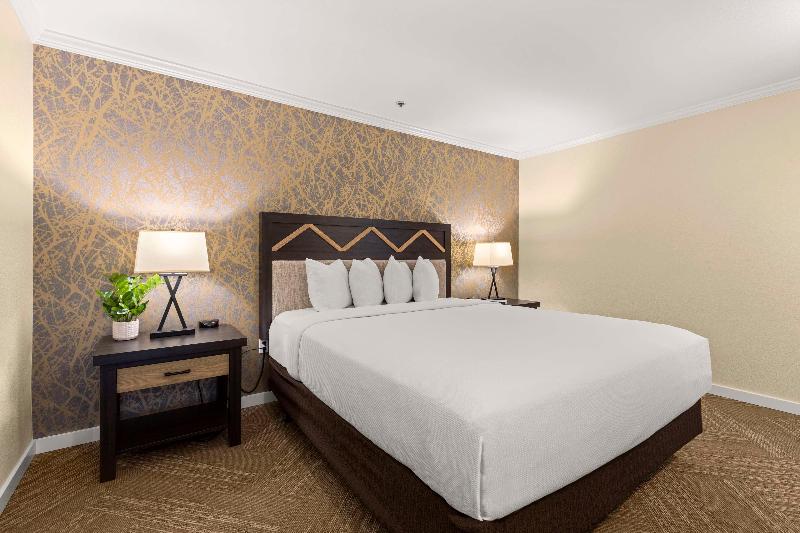 اتاق استاندارد برای معلولان, Best Western Plus Inn At The Vines