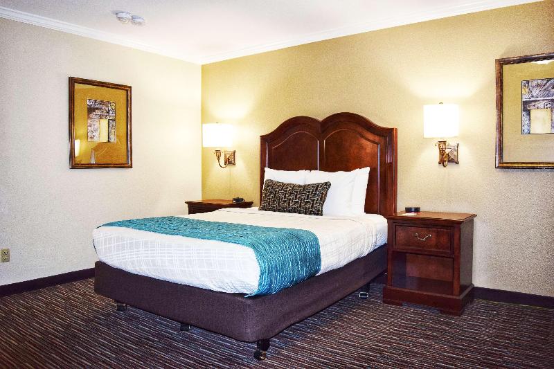 اتاق استاندارد برای معلولان, Best Western Plus Inn At The Vines