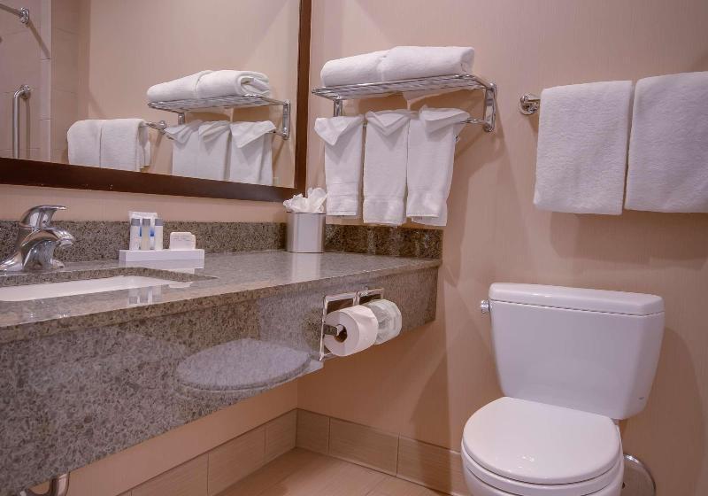 اتاق استاندارد با تخت بزرگ, Best Western At Ventura Pier