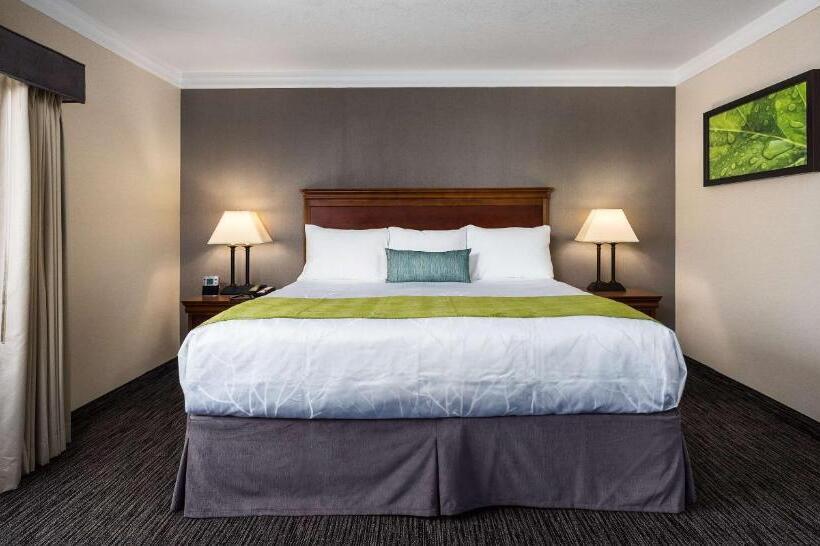 سوئیت با تخت بزرگ, Best Western Plus Landmark Inn