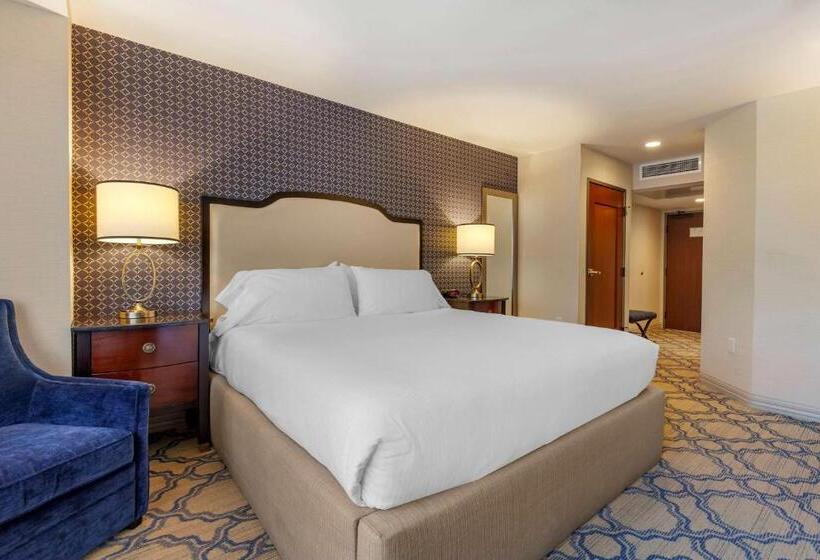 اتاق استاندارد با تخت بزرگ برای معلولان, Best Western Premier Park