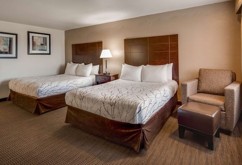 Deluxe Zimmer, Best Western Prescottonian