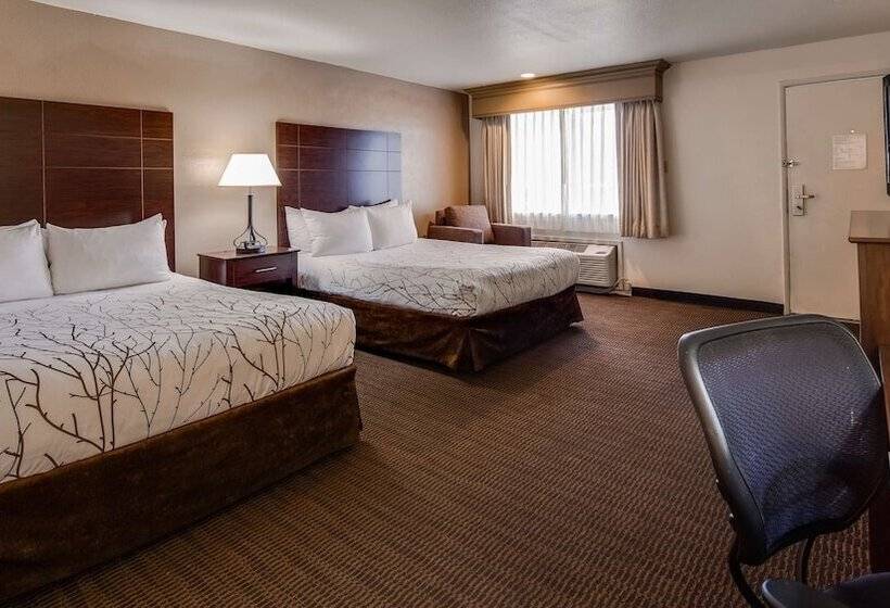 Deluxe Zimmer, Best Western Prescottonian