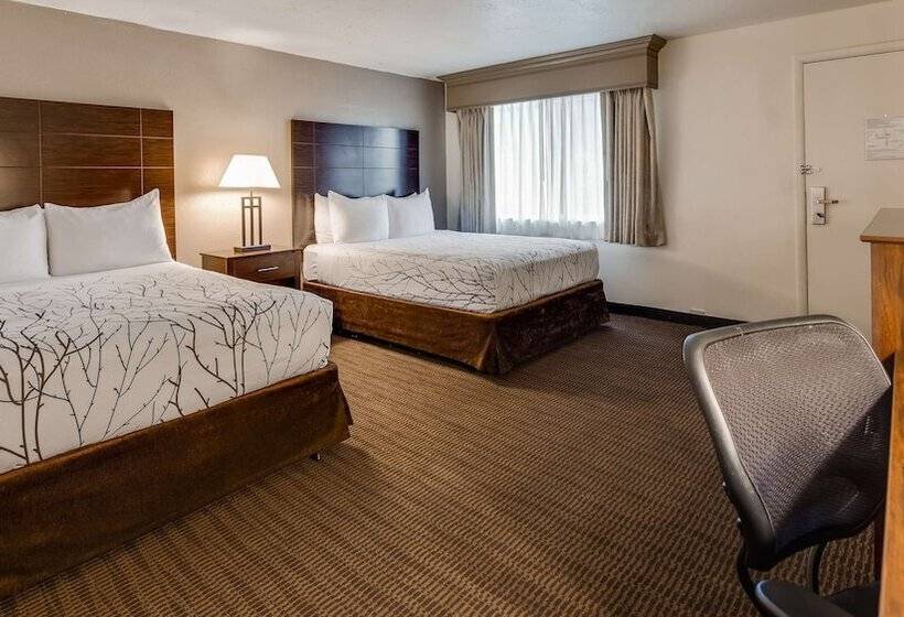 Deluxe Zimmer, Best Western Prescottonian