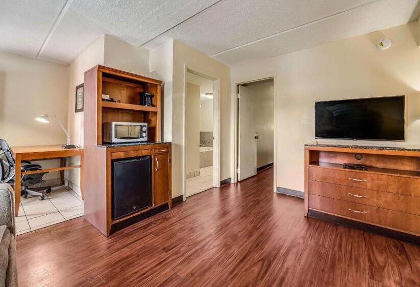 سوئیت با تخت بزرگ, Econo Lodge Inn & Suites