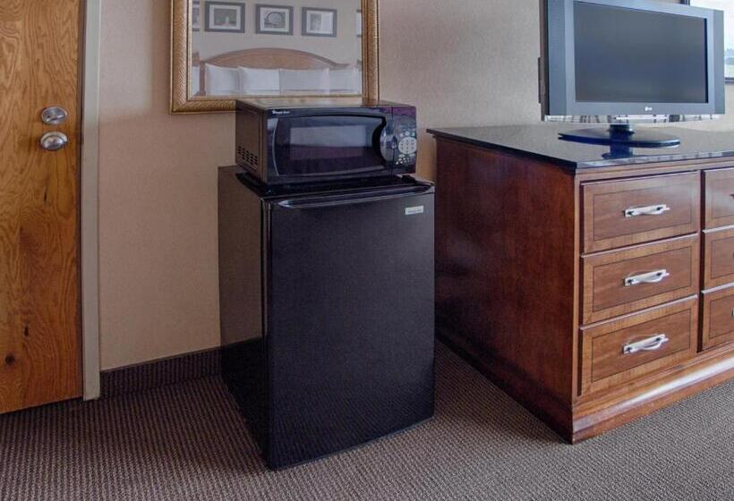 اتاق استاندارد با تخت بزرگ, Inn At The Convention Center