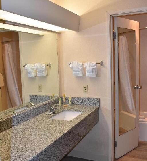 اتاق استاندارد با تخت بزرگ, Inn At The Convention Center
