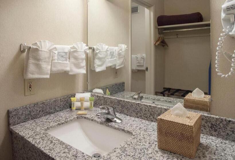 اتاق استاندارد, Inn At The Convention Center