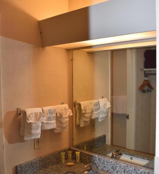 اتاق استاندارد, Inn At The Convention Center