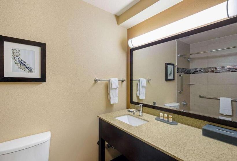 اتاق لوکس با تخت بزرگ, La Quinta Inn By Wyndham Berkeley