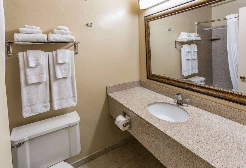 غرفه قياسيه سريرين مزدوجين, Quality Inn & Suites Downtown