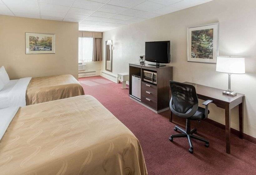 غرفه قياسيه سريرين مزدوجين, Quality Inn & Suites Downtown