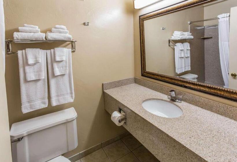 اتاق استاندارد با 2 تخت دوبل, Quality Inn & Suites Downtown