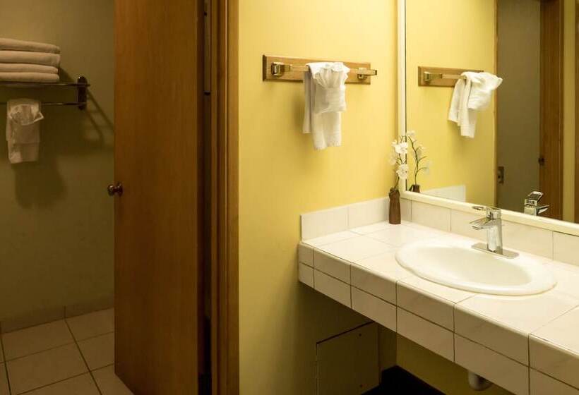 اتاق استاندارد با 2 تخت دوبل, Western Holiday Lodge