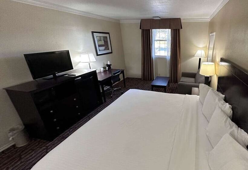 اتاق استاندارد با تخت دوبل برای معلولان, Motel 6 Dallas TX Downtown