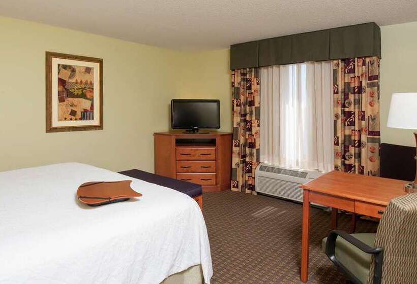 اتاق استاندارد با تخت بزرگ, Hampton Inn Key West Fl