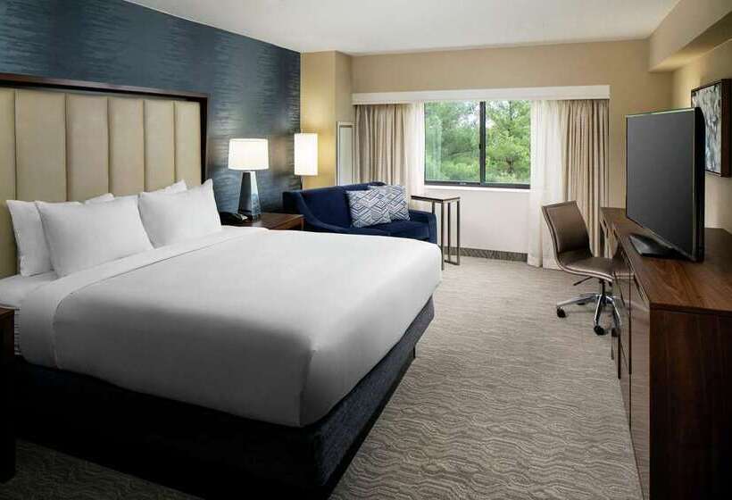اتاق استاندارد با تخت بزرگ, Hampton Inn Key West Fl
