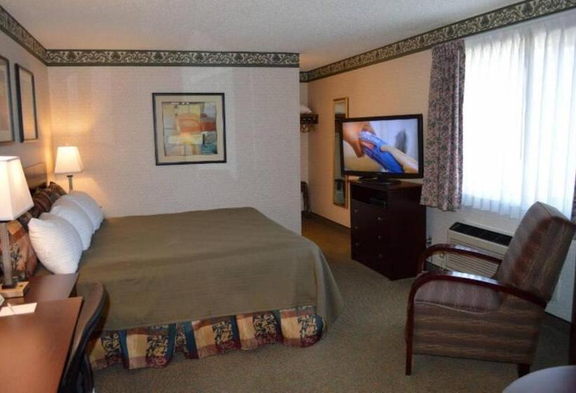 اتاق استاندارد با تخت بزرگ, Winnemucca Holiday Motel