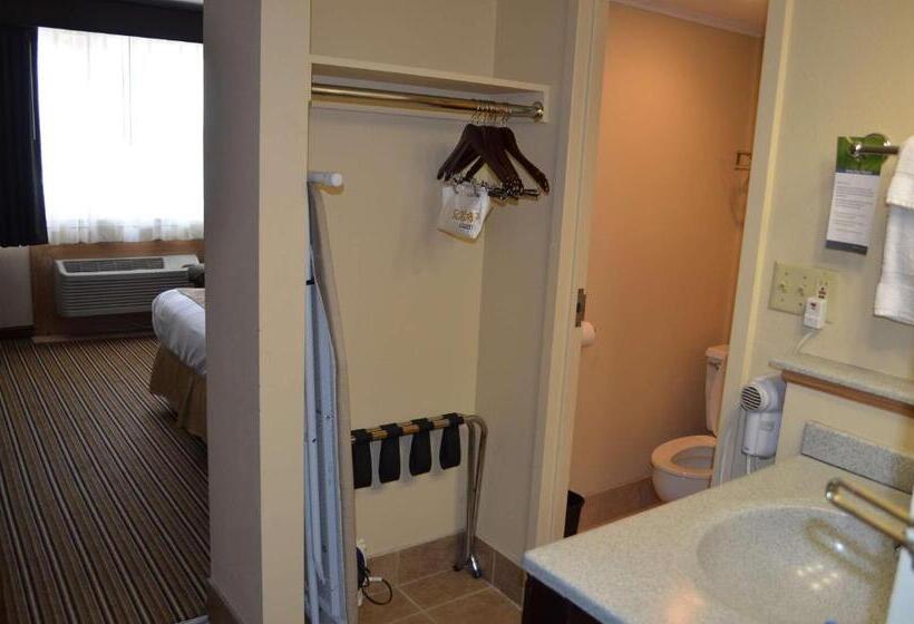 Standard Room, Best Western Starlite Village