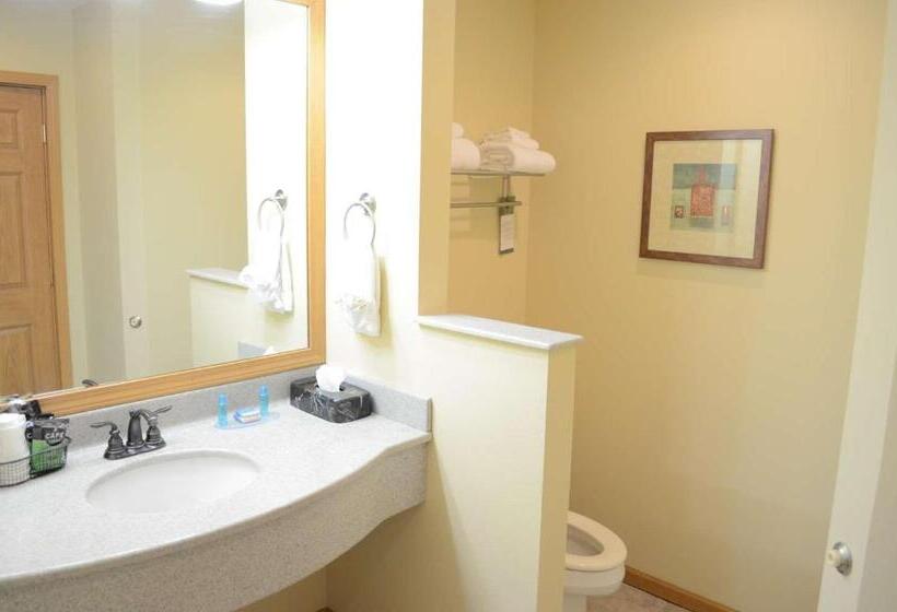 اتاق استاندارد با تخت بزرگ, Crossroads Hotel And Event Center