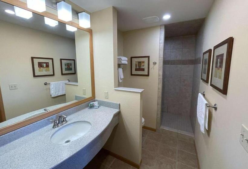 اتاق استاندارد با تخت بزرگ, Crossroads Hotel And Event Center