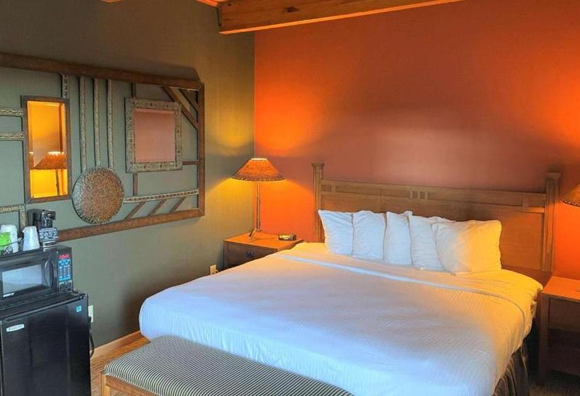 اتاق استاندارد با تخت بزرگ, Crossroads Hotel And Event Center