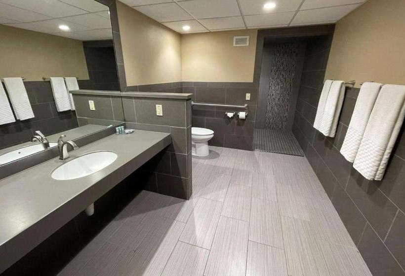 Suite Adapted for people with reduced mobility, Best Western Starlite Village