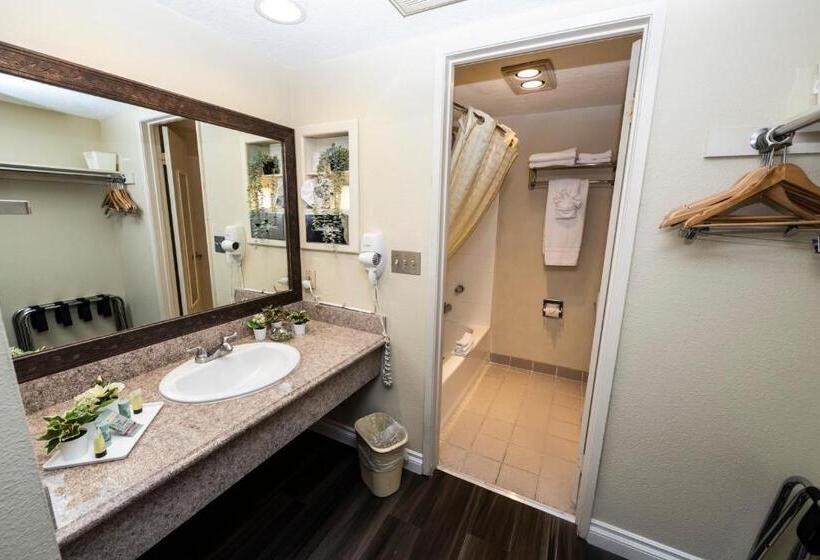 اتاق استاندارد با تخت بزرگ, Best Western Westminster Inn