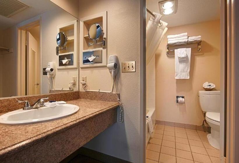 اتاق استاندارد با تخت بزرگ, Best Western Westminster Inn