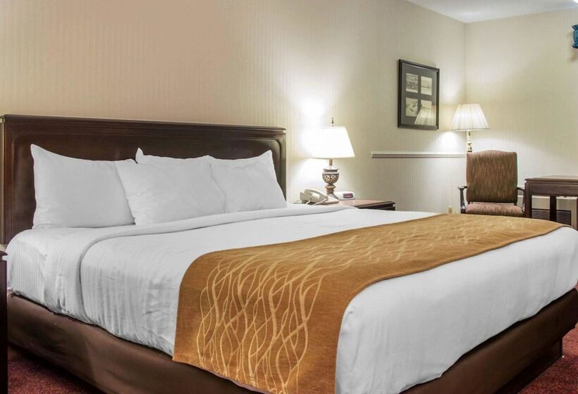 اتاق لوکس, Comfort Inn Lakeside Mackinaw City