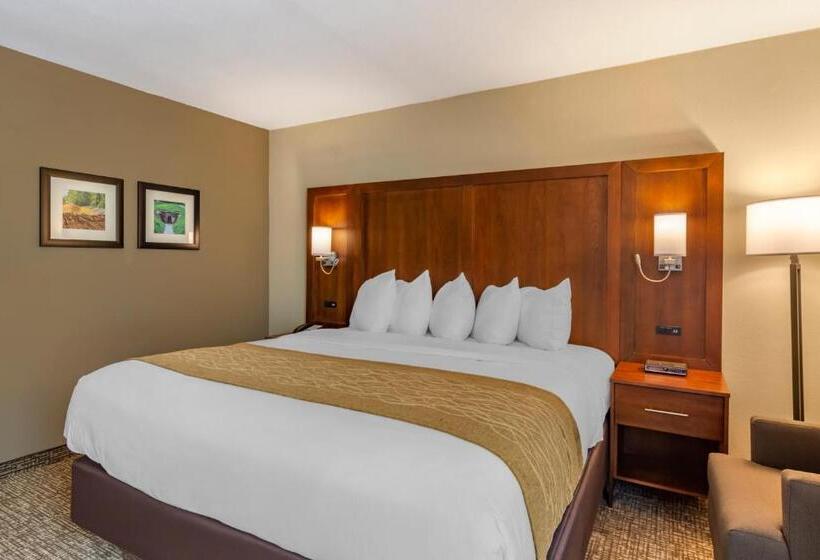 اتاق استاندارد با تخت بزرگ, Comfort Inn Petersburg Near Fort Greggadams